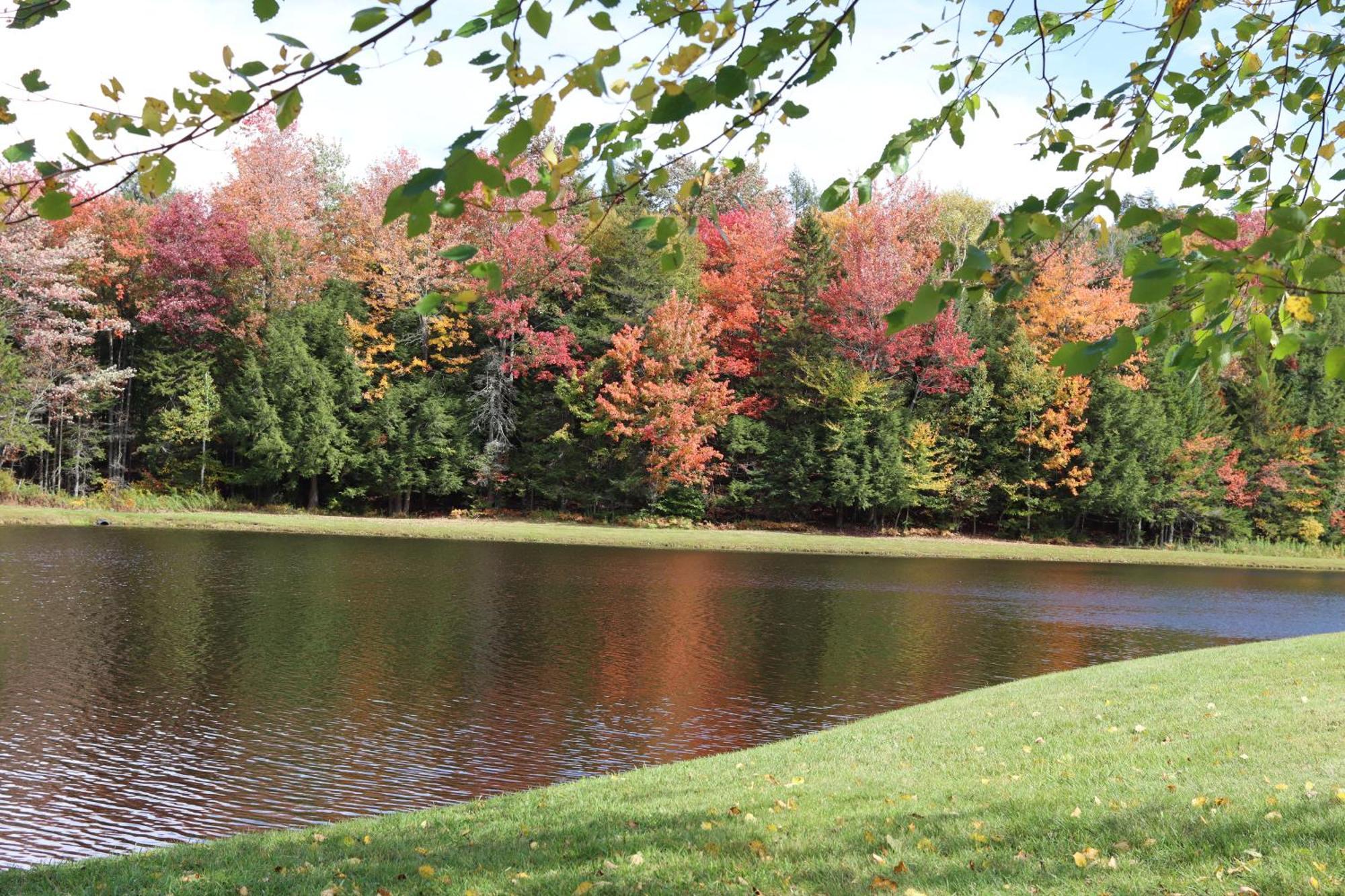 Deerfield Valley Inn - Mt Snow Dover 외부 사진
